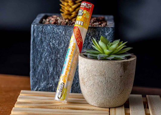 Cyclones Clear Pre-Rolled Cones - Pimperschnaps