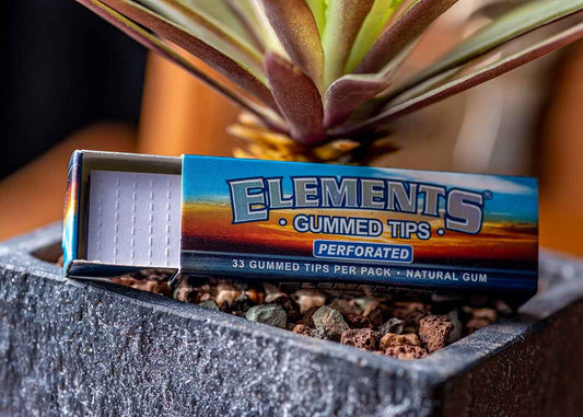 Elements Perforated Rolling Tips - Gummed