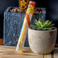 Cyclones Clear Pre-Rolled Cones - Pimperschnaps