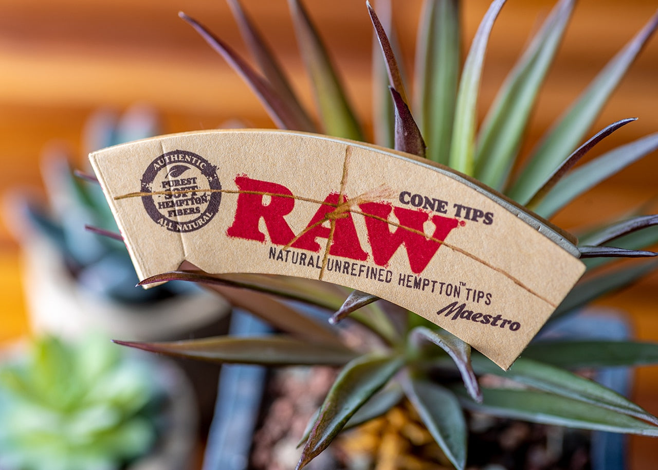 RAW Cone Tips - Maestro image 3