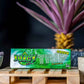 Juicy Jay's Rolling Papers - Green Trip Menthol - 1 1/4"