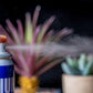 Ozium Air Sanitizer - Vanilla image 3