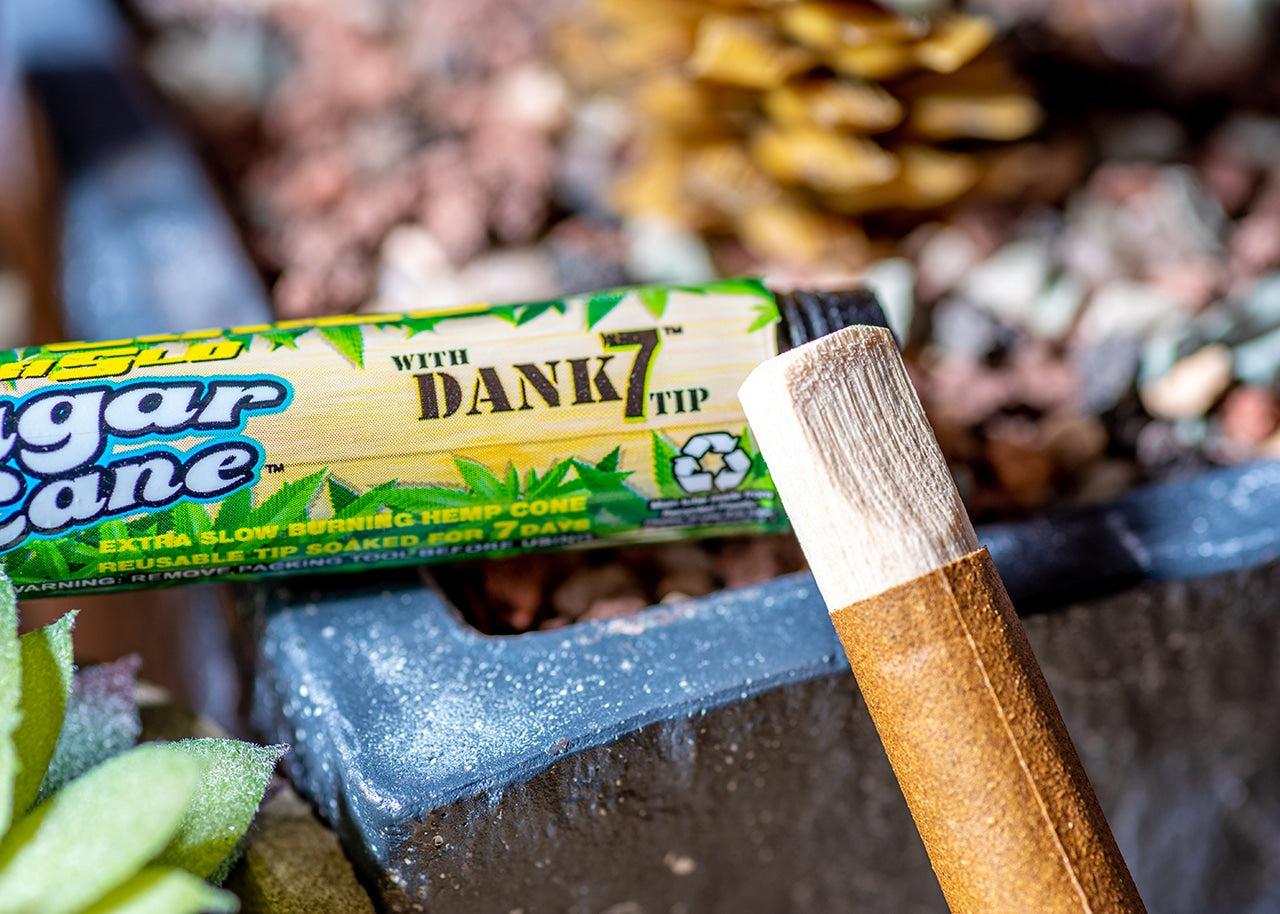 Cyclones Hemp Pre-Rolled Cones - Sugar Cane w/ Dank7 Tip image 5