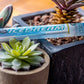 Cyclones Clear Pre-Rolled Cones - Ice Dream image 3