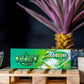 Juicy Jay's Rolling Papers - Cool Jay's Menthol - 1 1/4"