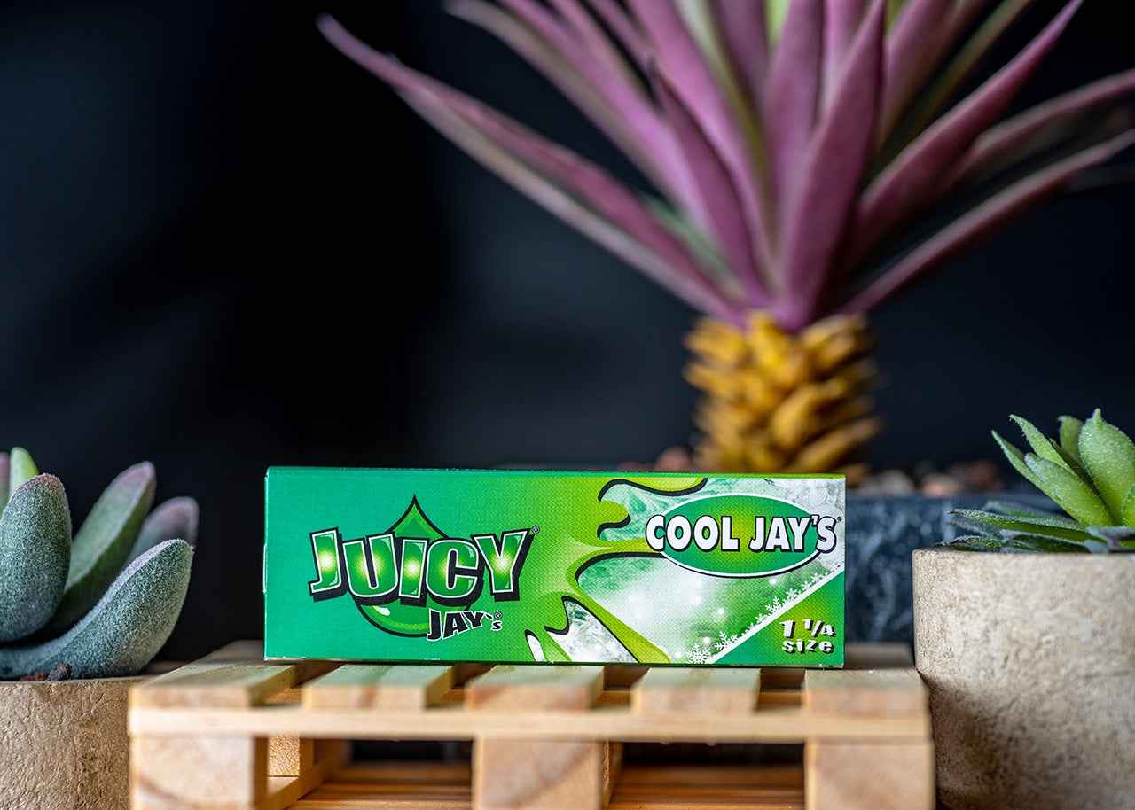 Juicy Jay's Rolling Papers - Cool Jay's Menthol - 1 1/4"