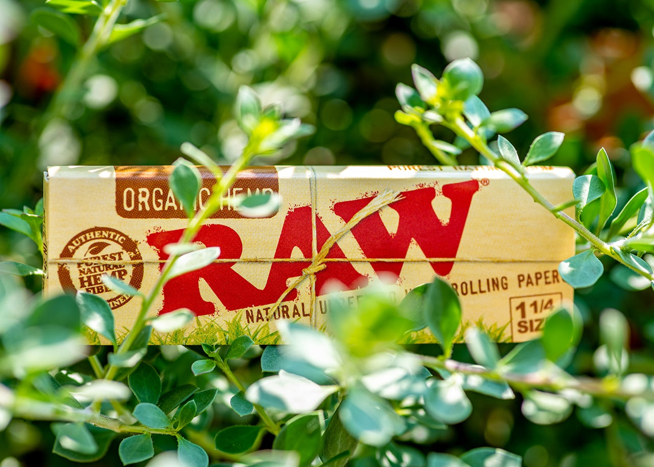 RAW Organic Hemp Rolling Papers - 1 1/4" image 6