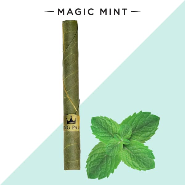 King Palm Flavored Leaf Rolls - Magic Mint image 0
