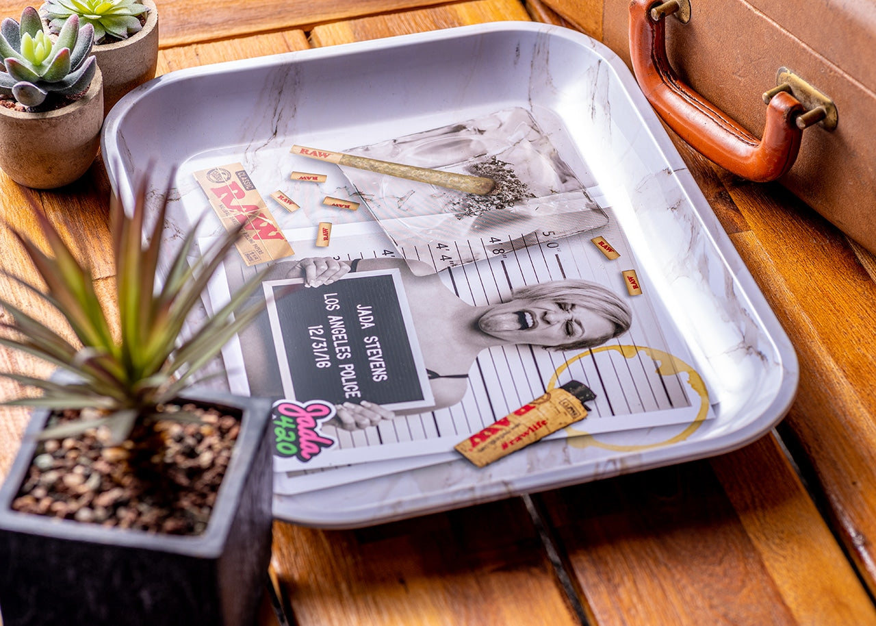 RAW Rolling Tray - Jada Stevens Mugshot image 1
