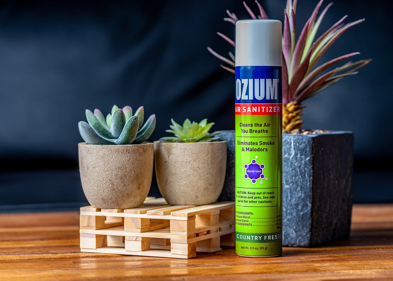 Ozium Air Sanitizer - Country Fresh image 2