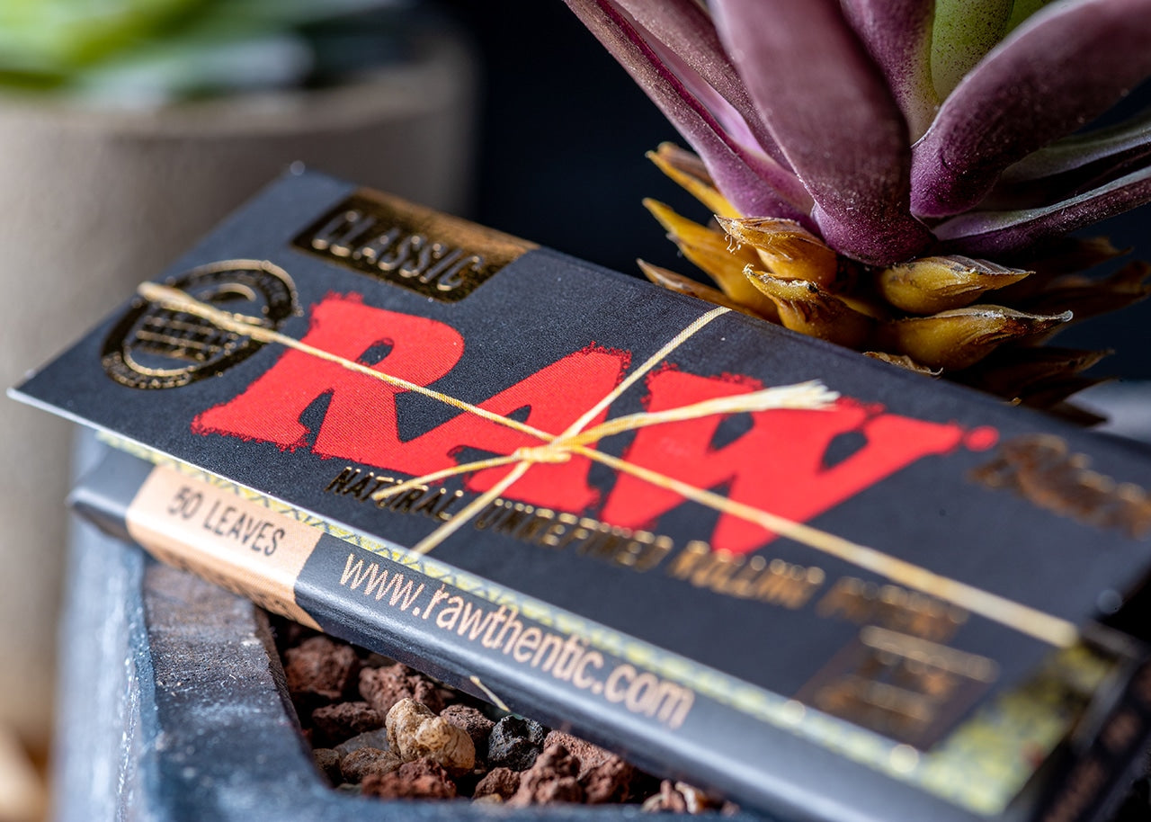 RAW Classic Black Rolling Papers - 1 1/4" image 5