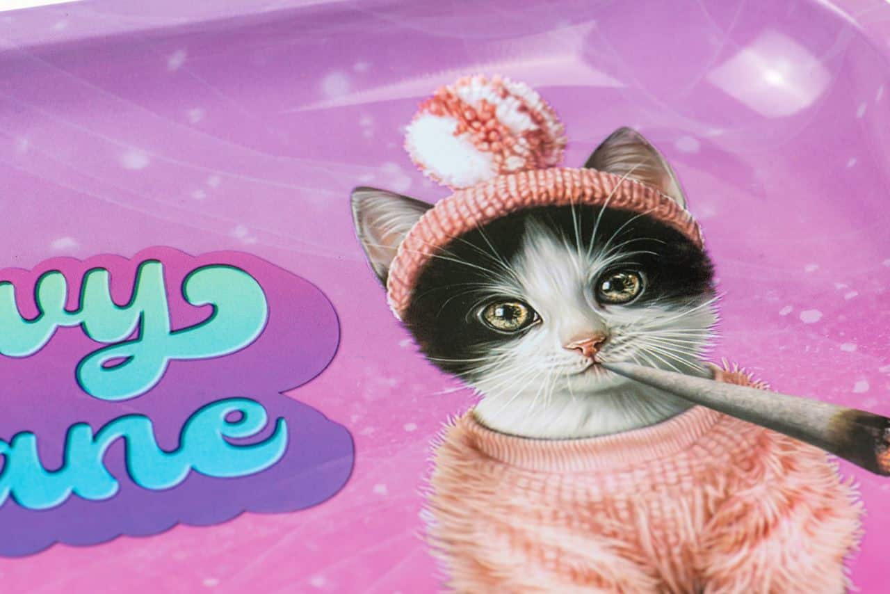 Meowy Jane Rolling Tray image 4
