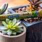 Cyclones Hemp Pre-Rolled Cones - Sugar Cane w/ Dank7 Tip image 3