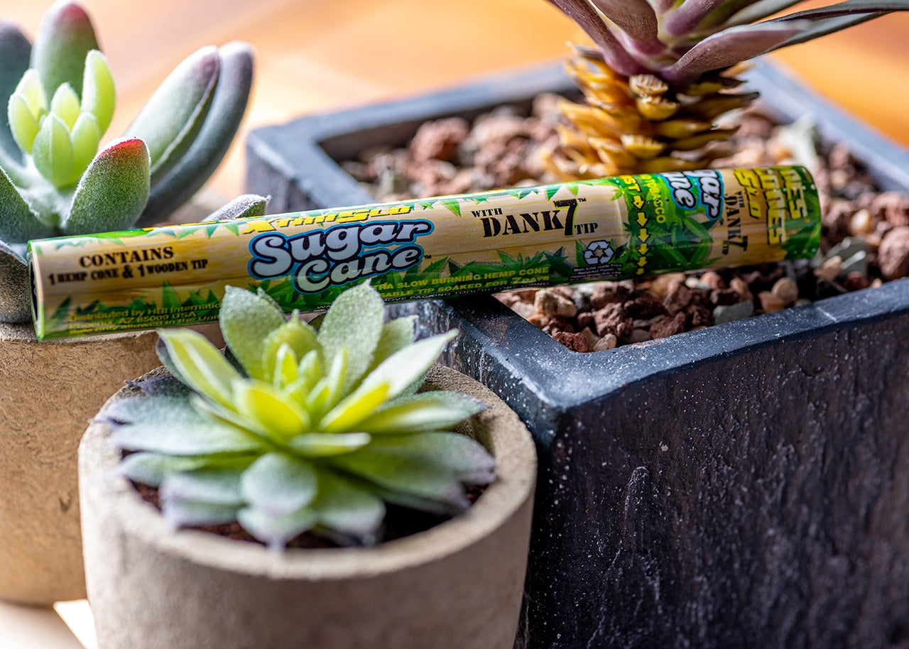 Cyclones Hemp Pre-Rolled Cones - Sugar Cane w/ Dank7 Tip image 3