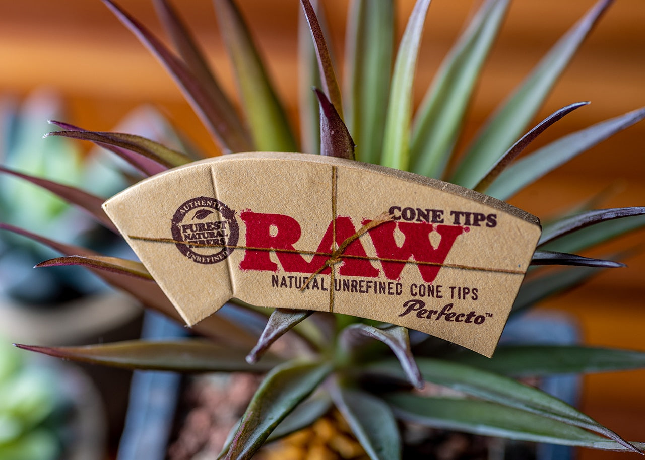 RAW Cone Tips - Perfecto image 3