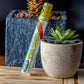 Cyclones Clear Pre-Rolled Cones - Tiki Tango