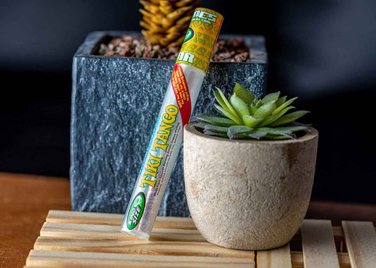 Cyclones Clear Pre-Rolled Cones - Tiki Tango