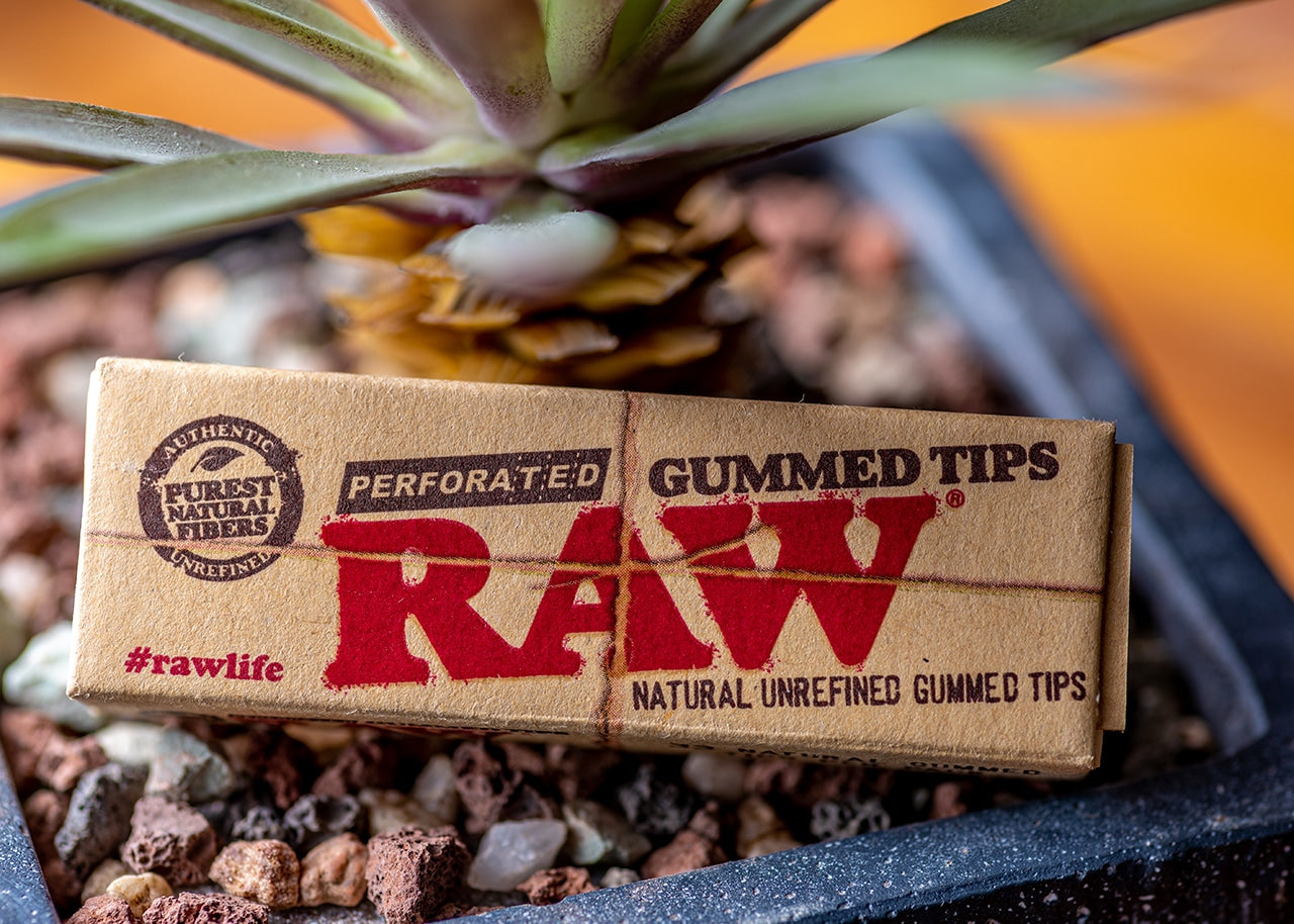 RAW Perforated Gummed Tips image 4