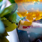Sky High Pre-Rolled Tips - 100 Tips image 7
