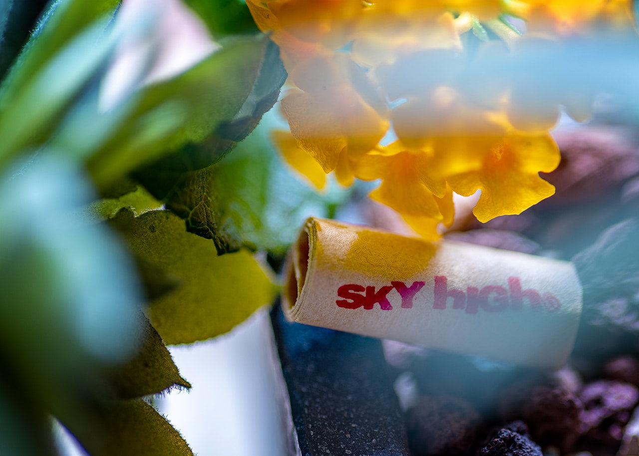 Sky High Pre-Rolled Tips - 100 Tips image 7