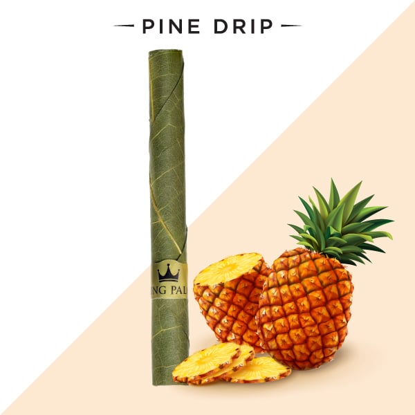 King Palm Flavored Leaf Rolls - Pine Drip image 0