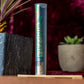 King Palm King Pre-Rolled Palm Leaf Wrap