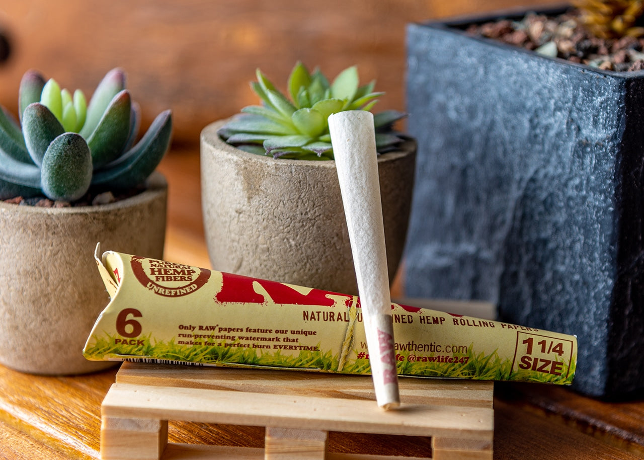 RAW Organic Hemp Pre-Rolled Cones - 1 1/4" (6 Pack) image 1